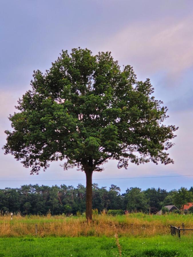 Ferienbauernhof De Slaaphoeve Emlichheim Kültér fotó