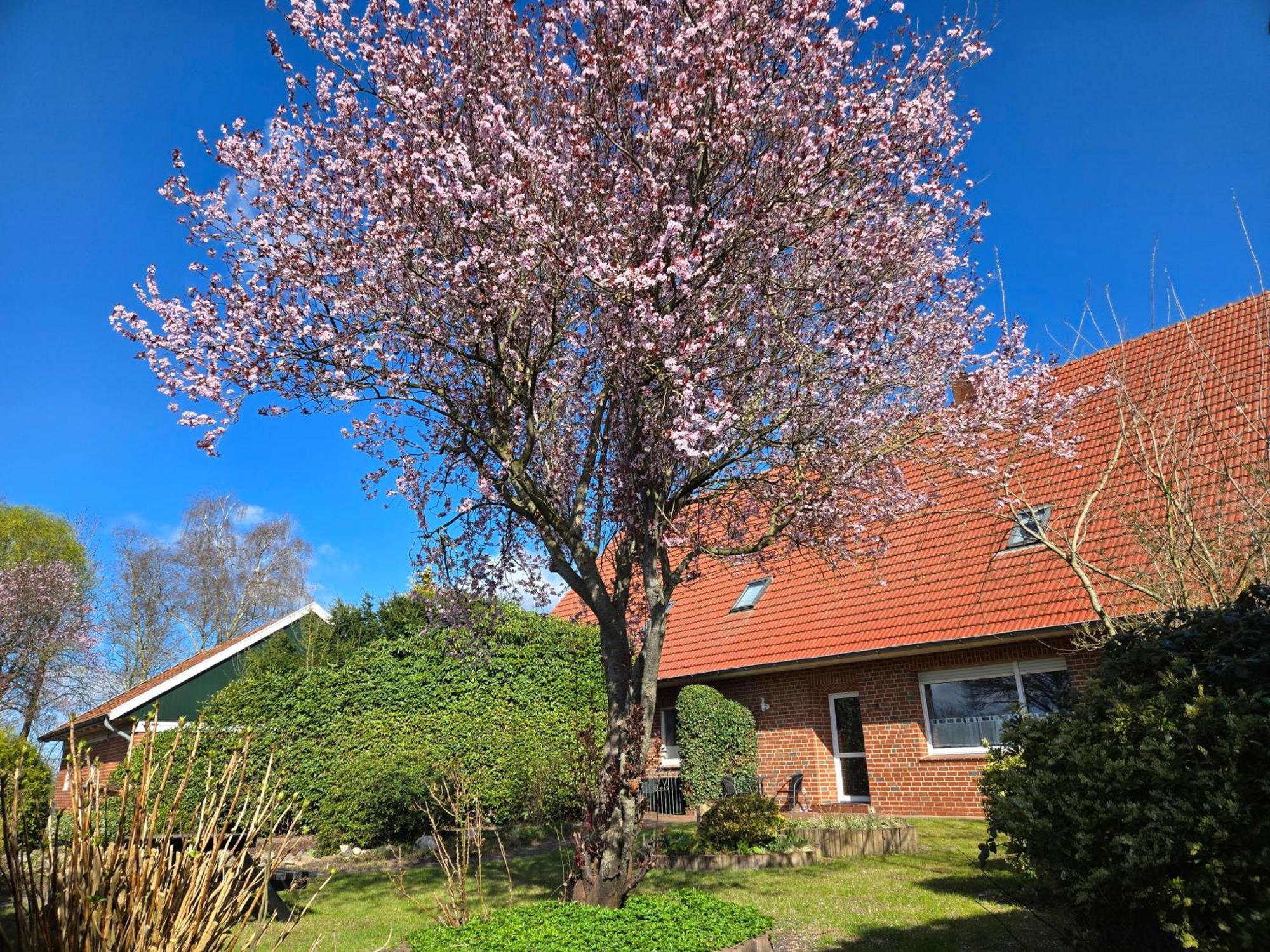 Ferienbauernhof De Slaaphoeve Emlichheim Kültér fotó